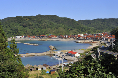 野波浦