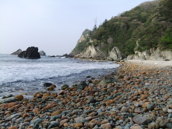 赤浦海岸