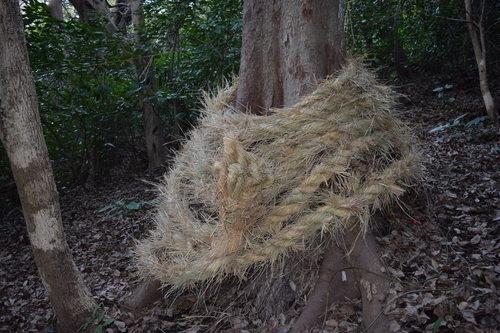 浜地区おろちの荒神