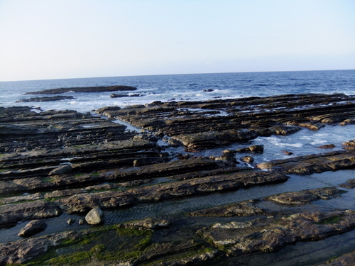 三津 海苔島