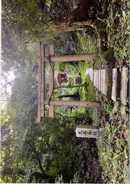 「2025年 四十二浦巡りカレンダ-『島根半島散歩』」の販売について