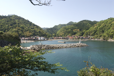 Sagiura is a tranquil bay surrounded by greenery.